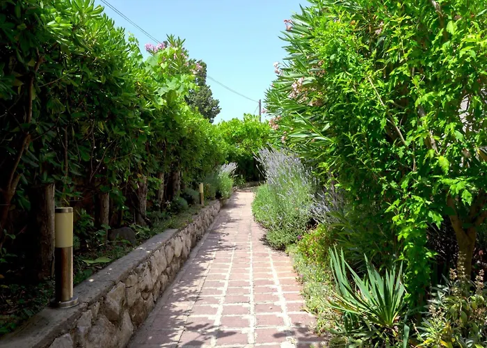 アパート Buka Calm Ii By Interhome プナト